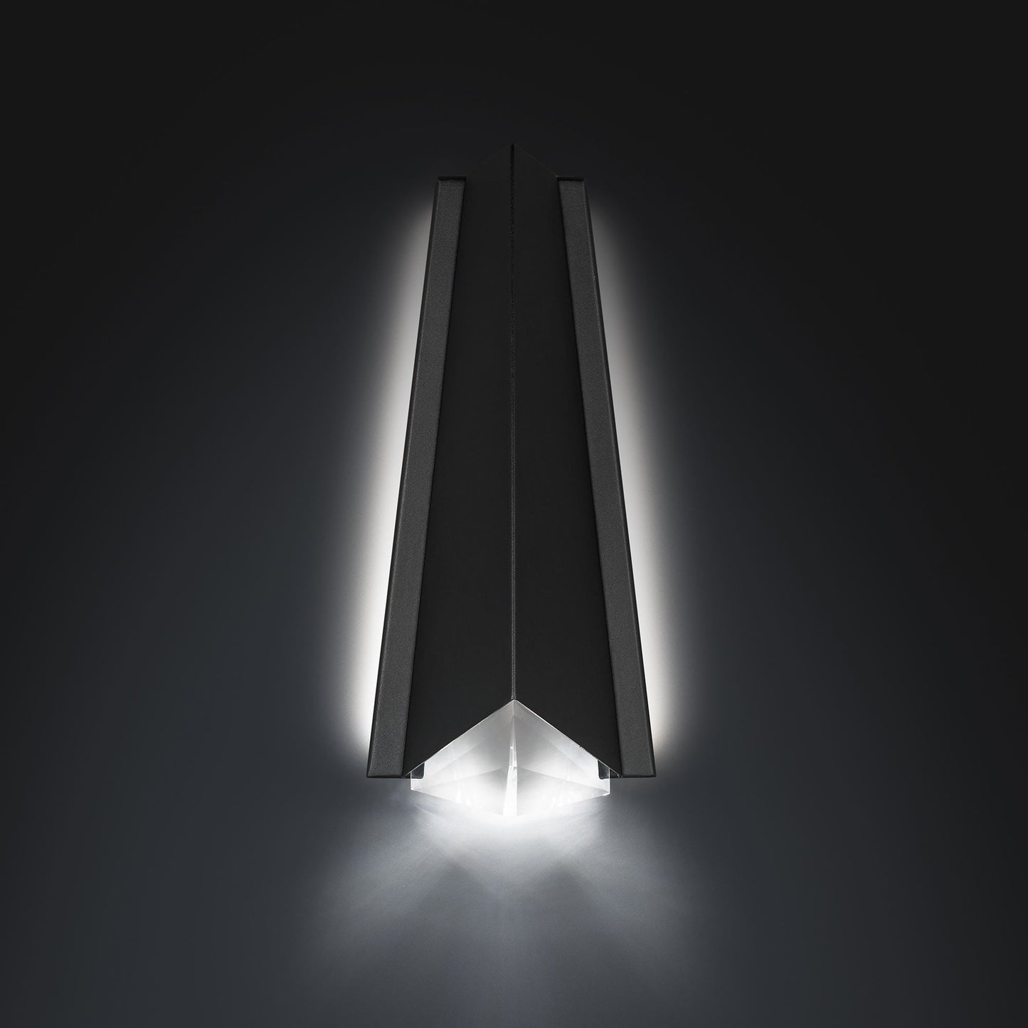 Lanie Outdoor LED Wall Light in Detail.