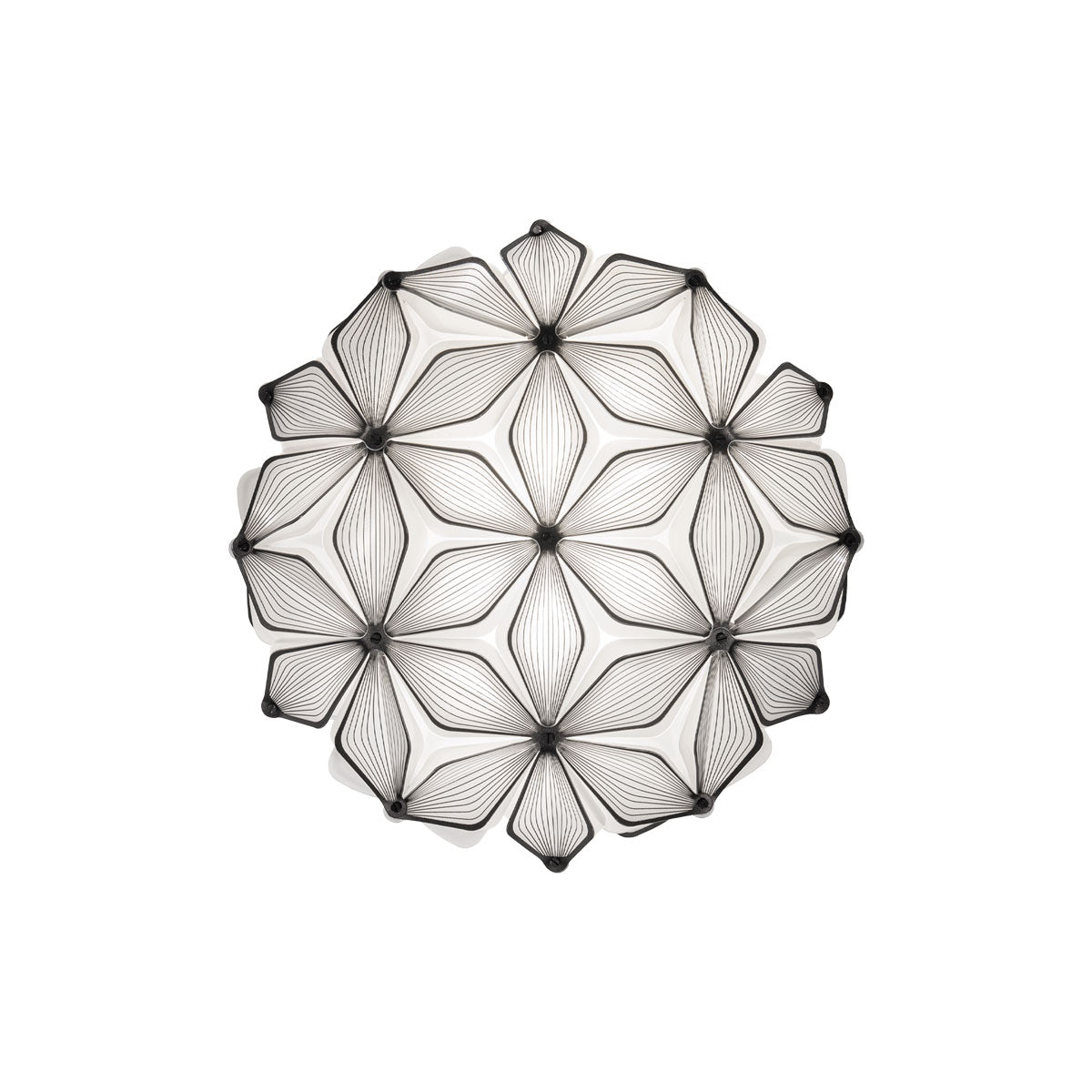 C'est La Vie Ceiling / Wall Light in Black (Small).