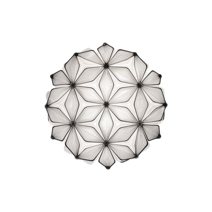 C'est La Vie Ceiling / Wall Light in Black (Small).