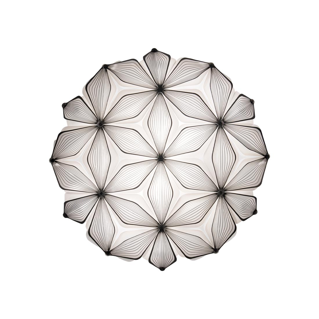 C'est La Vie Ceiling / Wall Light in Black (Medium).