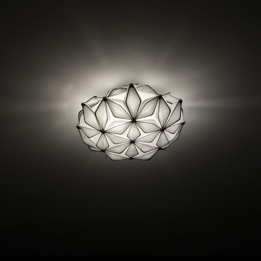 C'est La Vie Ceiling / Wall Light in Detail.