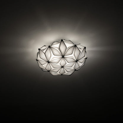 C'est La Vie Ceiling / Wall Light in Detail.