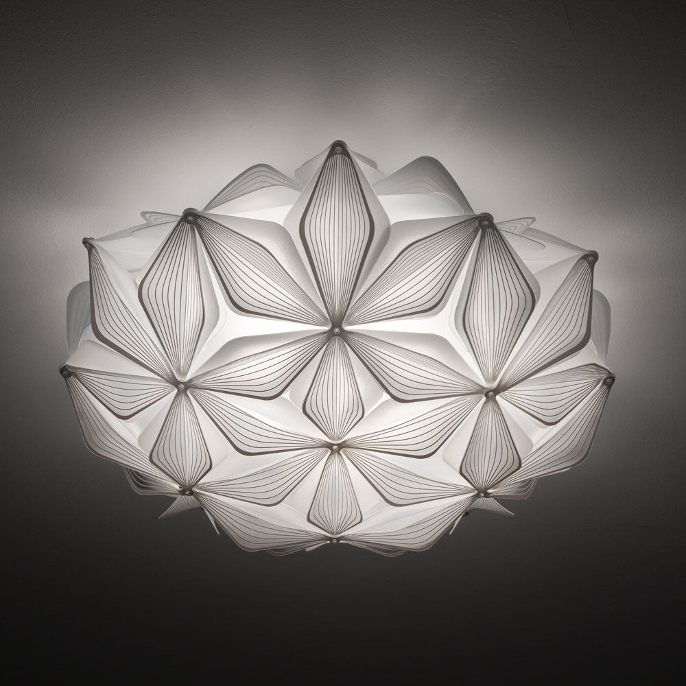 C'est La Vie Ceiling / Wall Light in Detail.