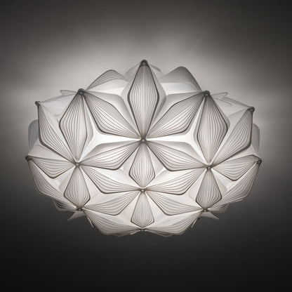 C'est La Vie Ceiling / Wall Light in Detail.