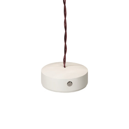 Lafleur Magnetic Anchor Disk.