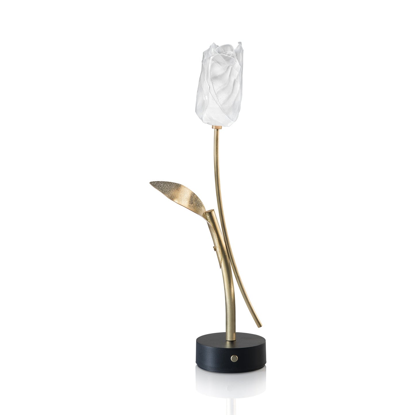 Tulip LED Table Lamp.