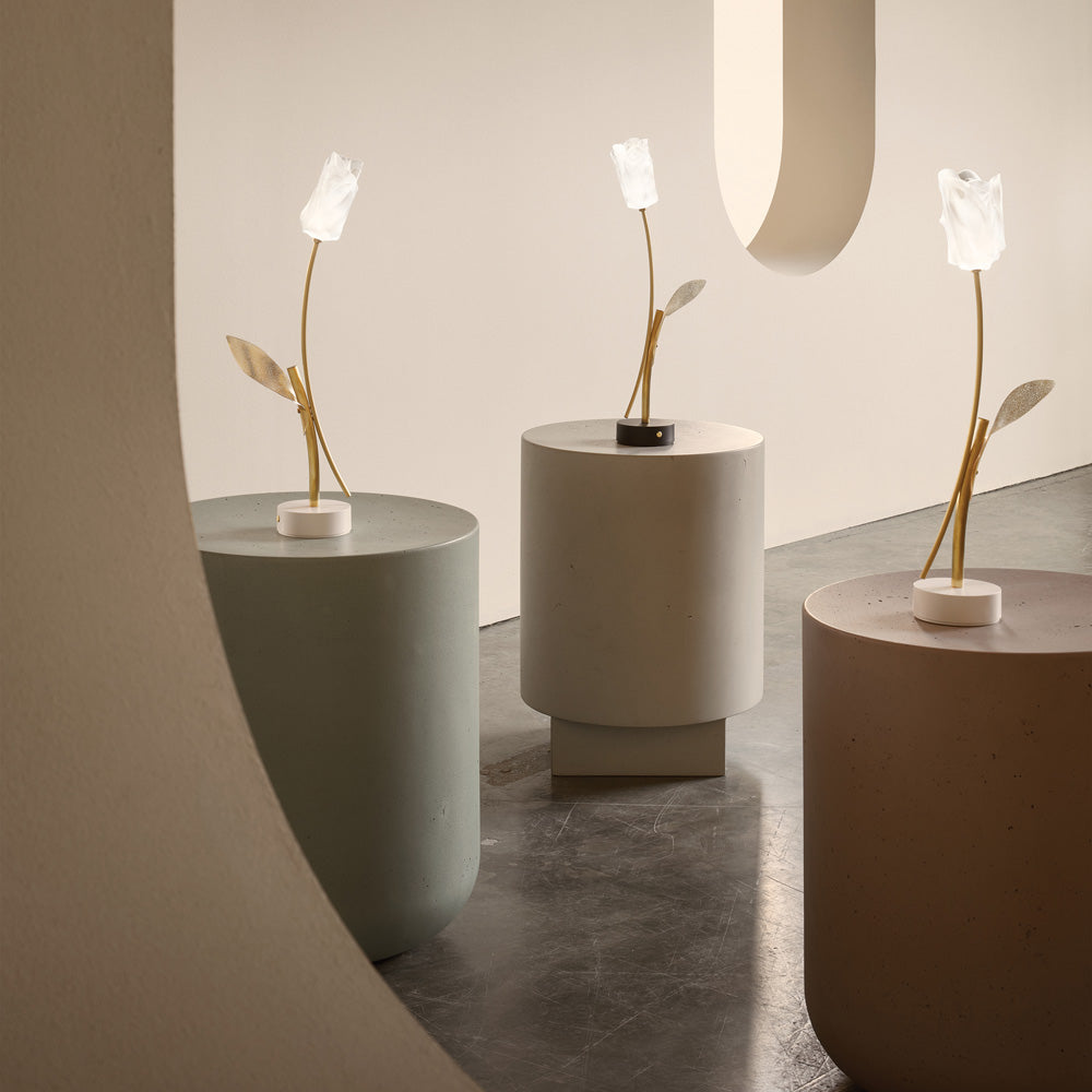 Tulip LED Table Lamp in Detail.