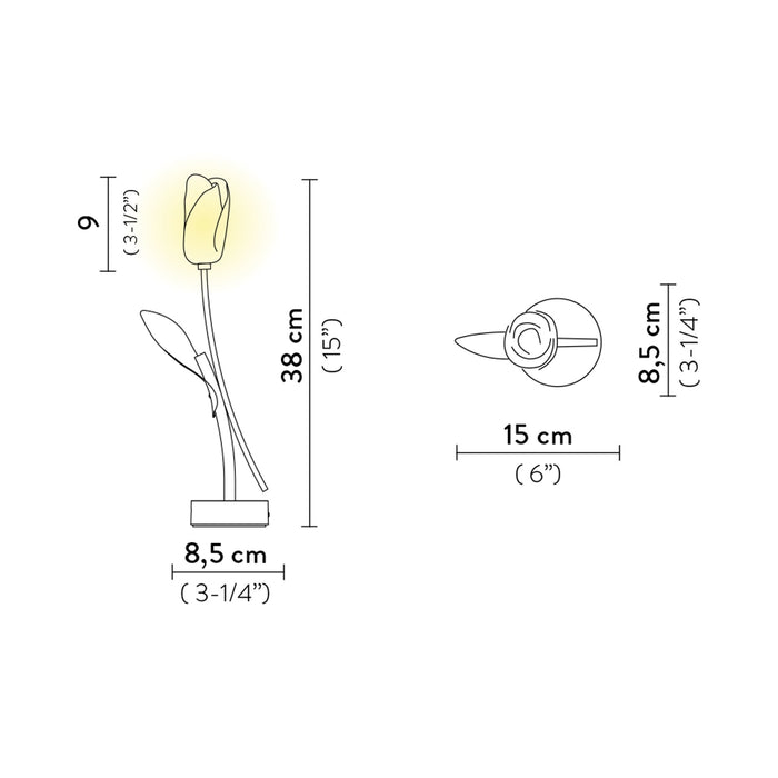 Tulip LED Table Lamp - line drawing.