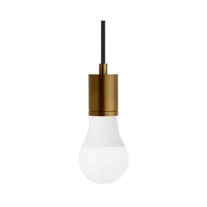 SoCo 24 Foot Pendant Light in Black Cord.
