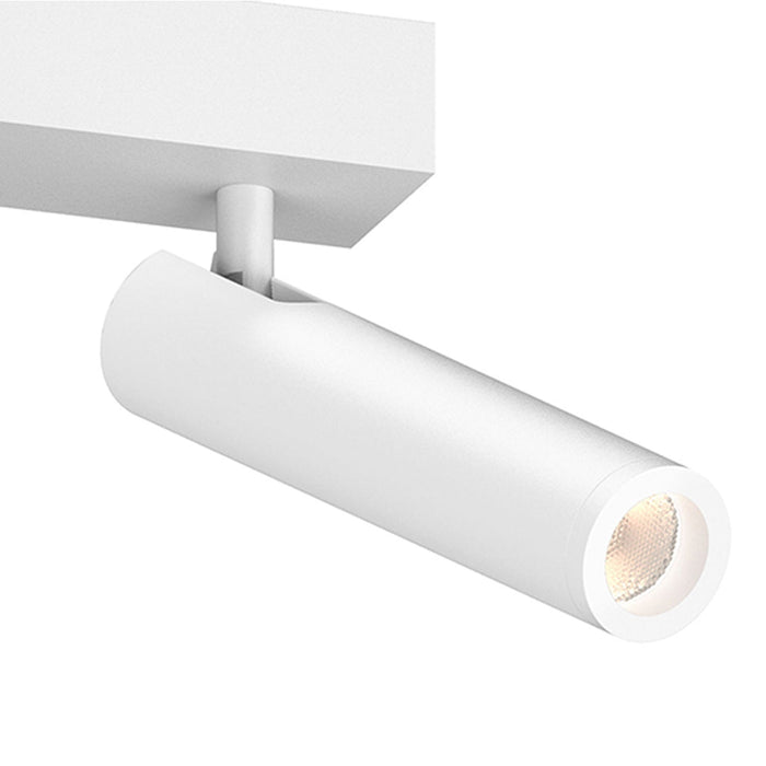 Haim Aimable LED Double Flush Mount Ceiling Light in Detail.