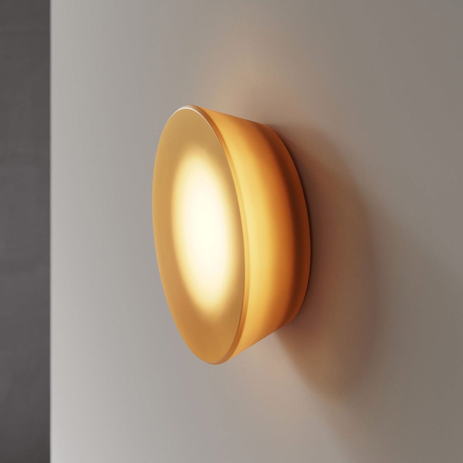 Mist LED Ceiling / Wall Light in Detail.