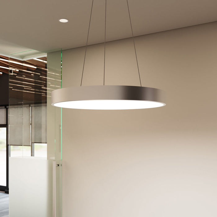 Pi LED Pendant Light in office.