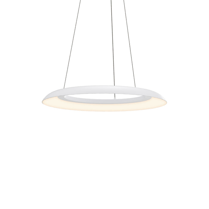 Torus™ LED Pendant Light in Satin White (Small).