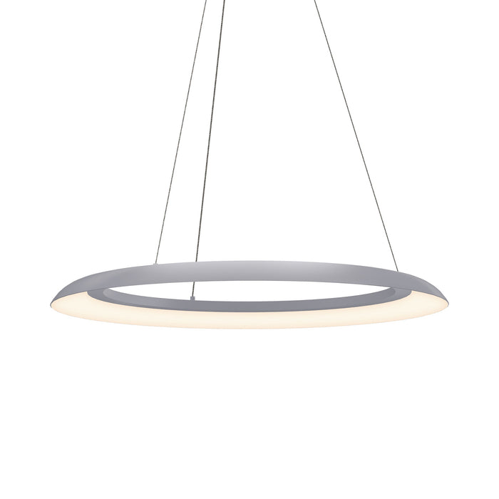 Torus™ LED Pendant Light in Dove Gray (Large).