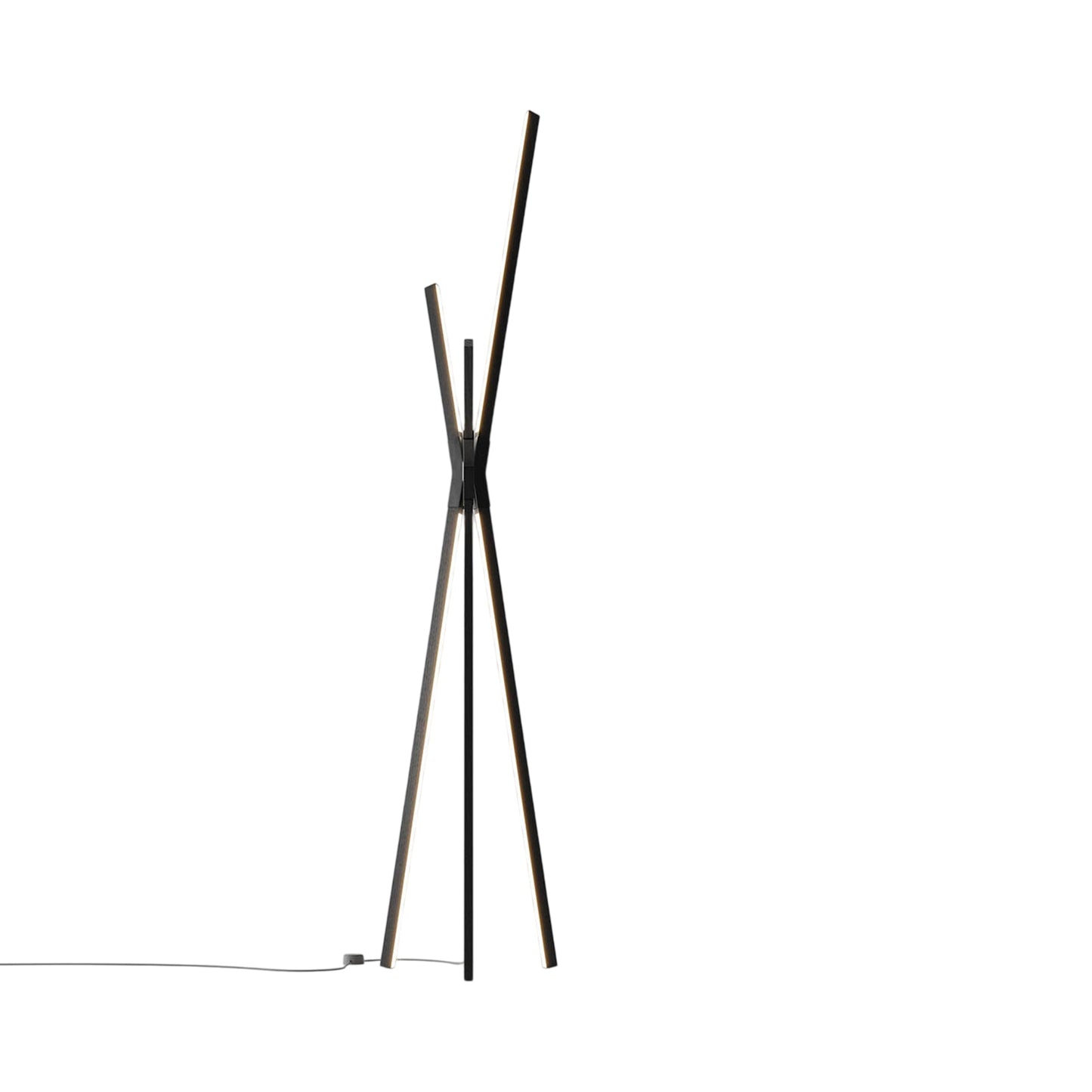 Bang LED Floor Lamp in Ebonized Oak/Blackened.