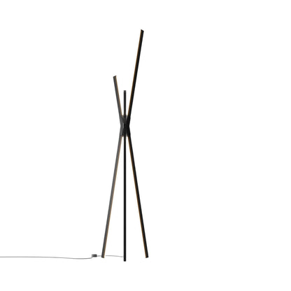 Bang LED Floor Lamp in Ebonized Oak/Blackened.