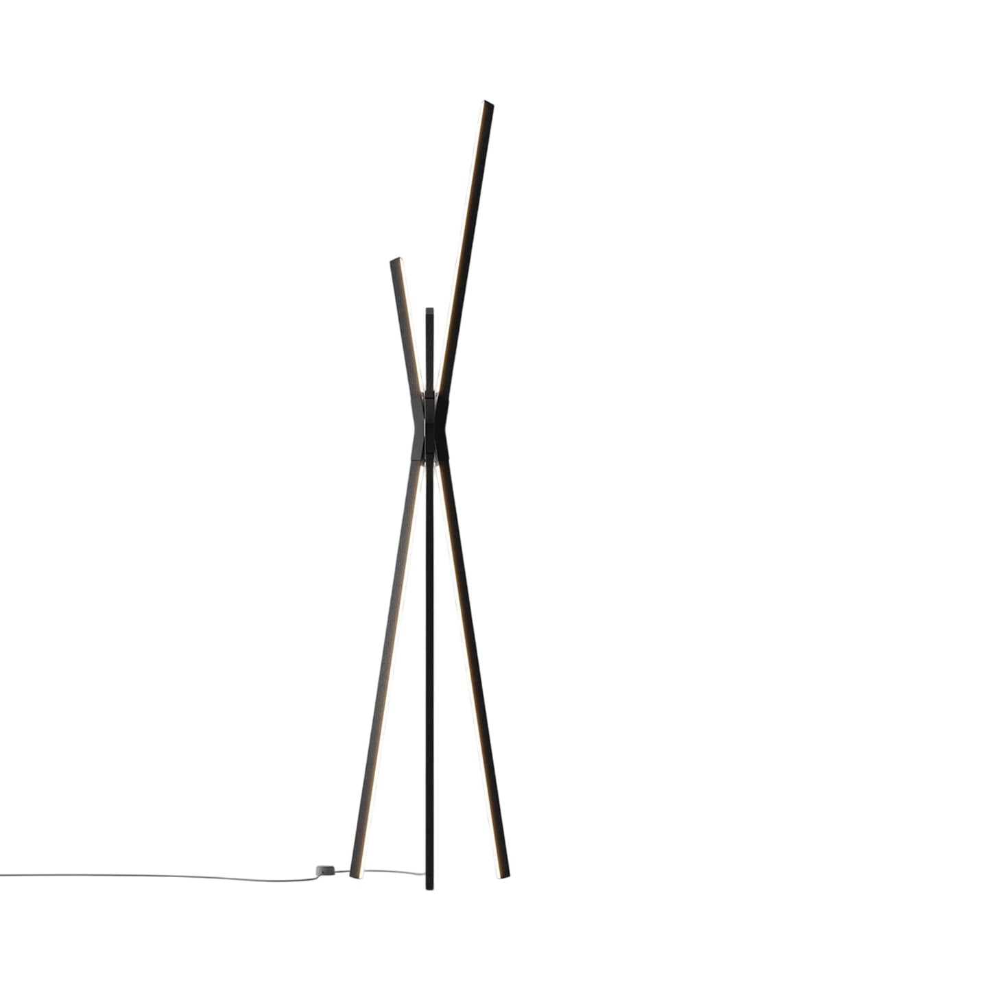 Bang LED Floor Lamp in Ebonized Oak/Matte Black.