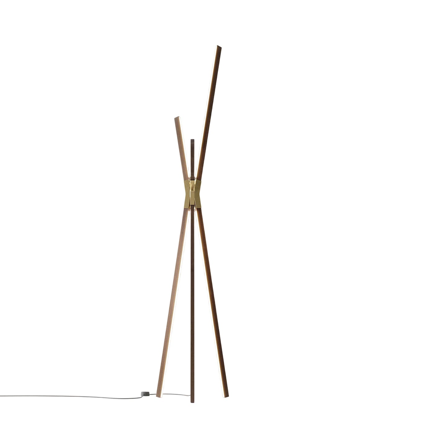 Bang LED Floor Lamp in American Walnut/Polished Brass.