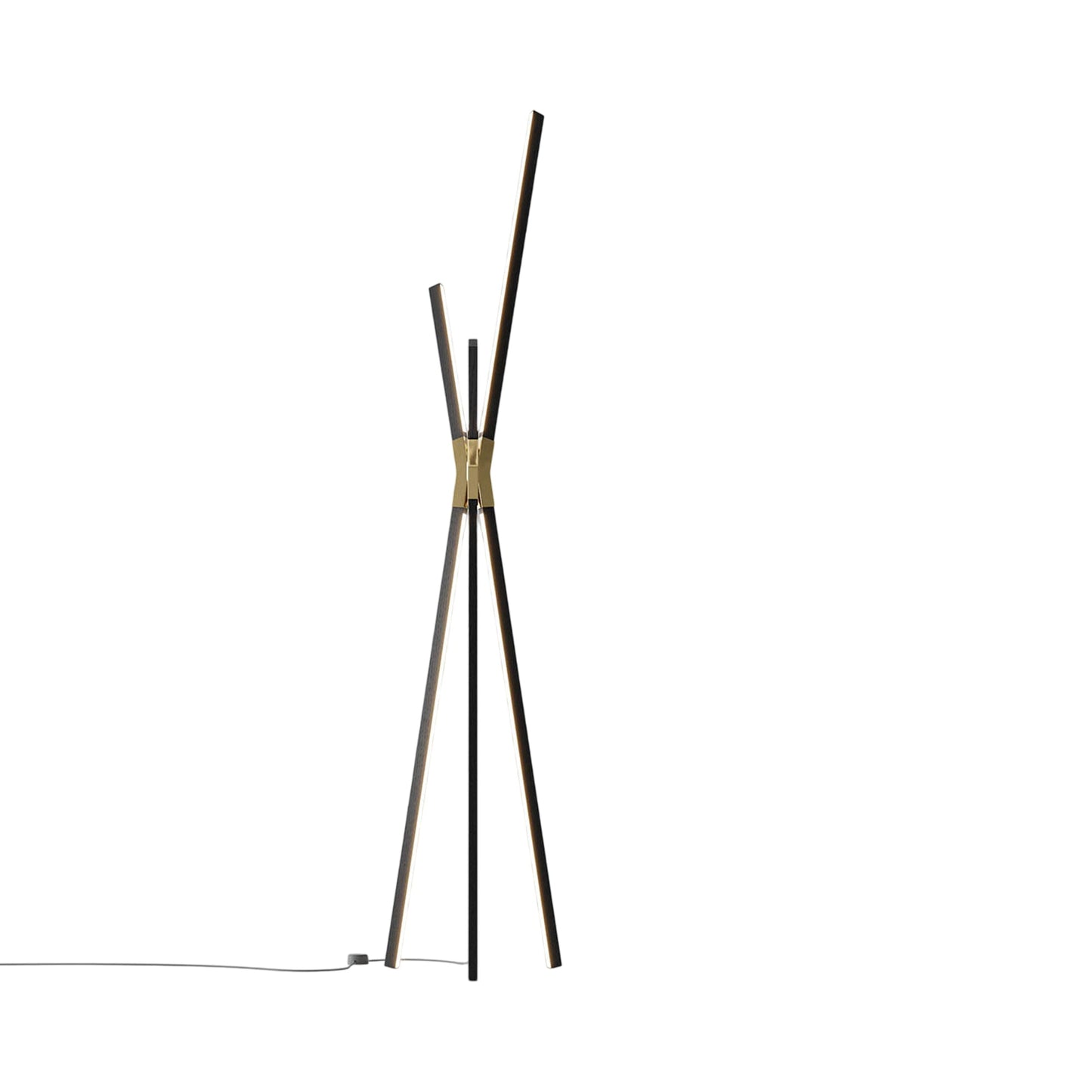 Bang LED Floor Lamp in Ebonized Oak/Polished Brass.