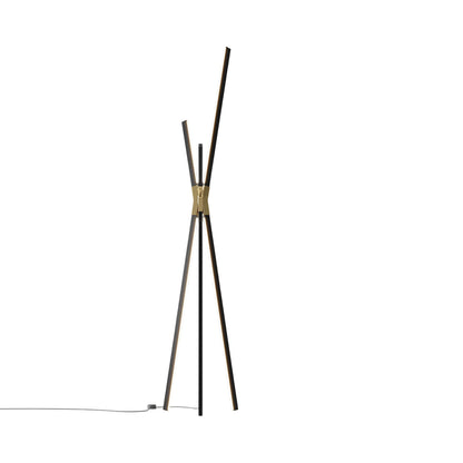 Bang LED Floor Lamp in Ebonized Oak/Polished Brass.