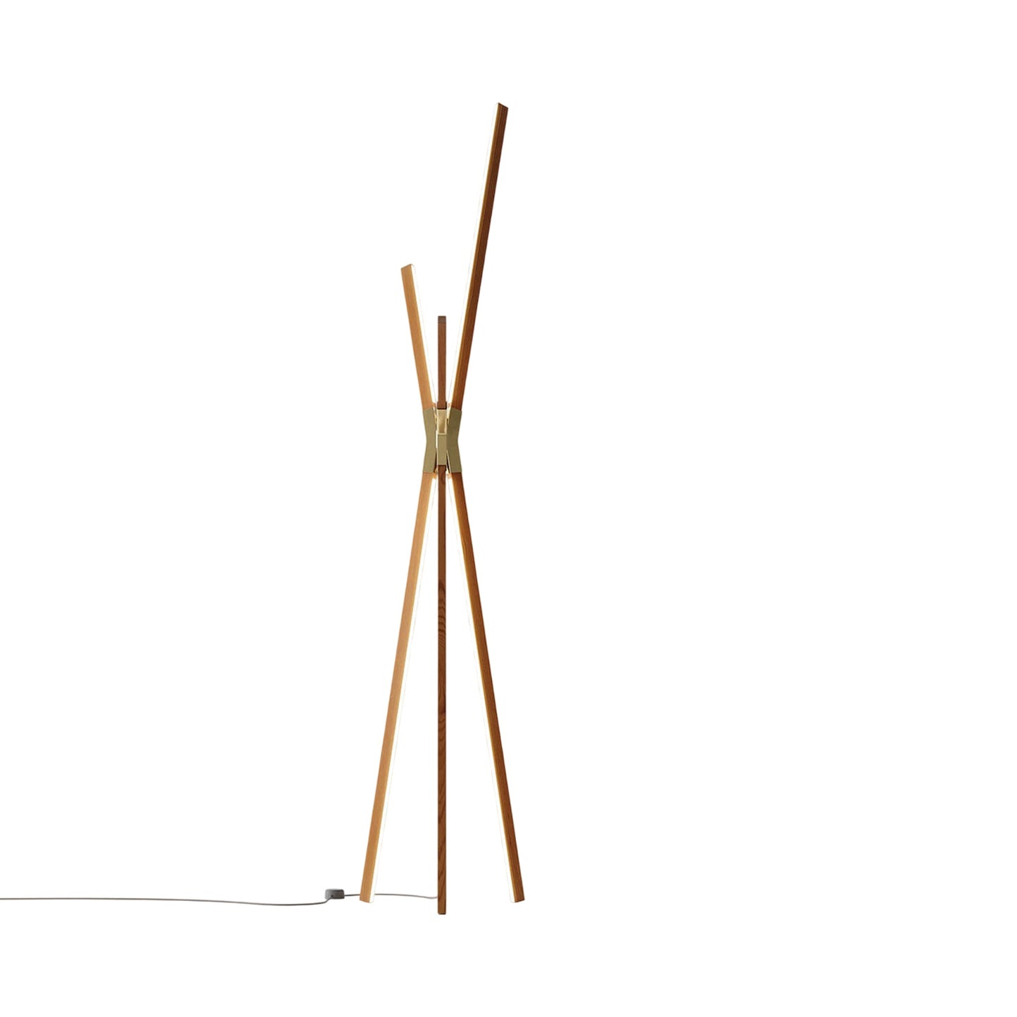 Bang LED Floor Lamp in Heart Pine (Reclaimed)/Polished Brass.