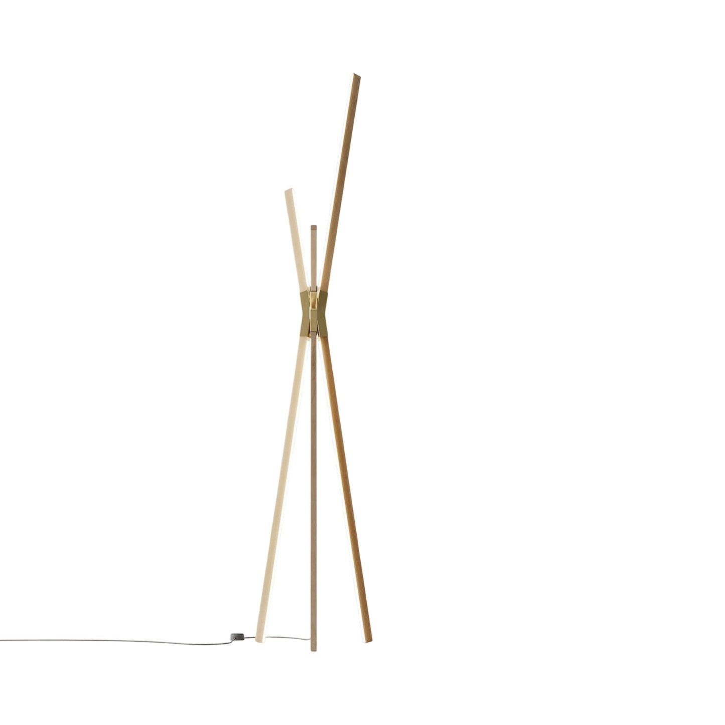 Bang LED Floor Lamp in Maple/Polished Brass.