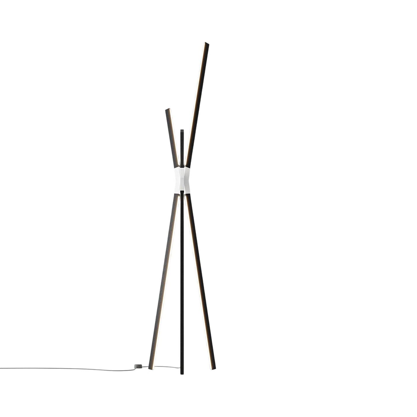 Bang LED Floor Lamp in Ebonized Oak/White.