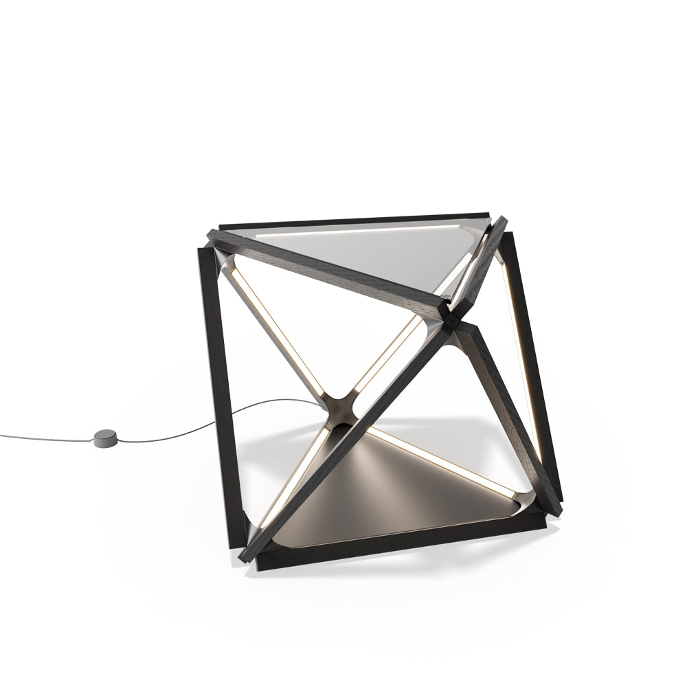 Diamond LED Table Lamp in Detail.