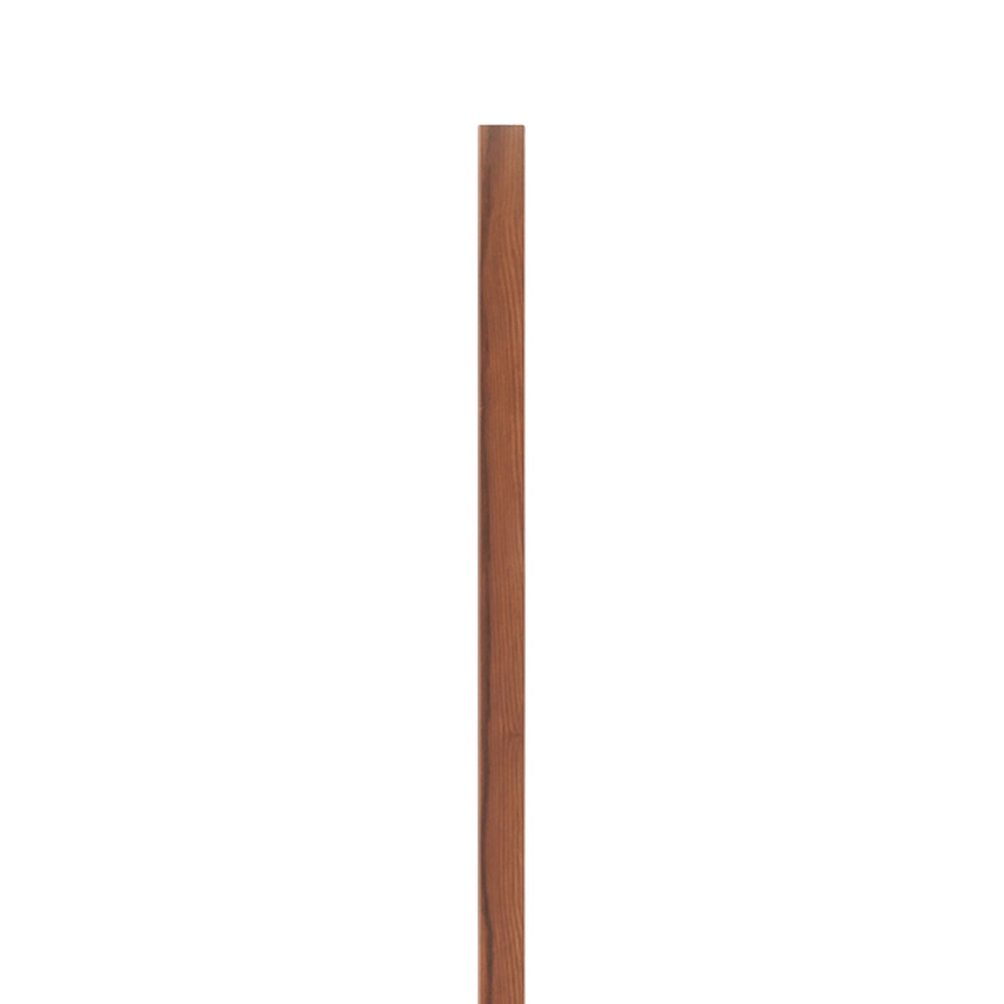 Ray 1.5ft LED Wall Light in Detail.