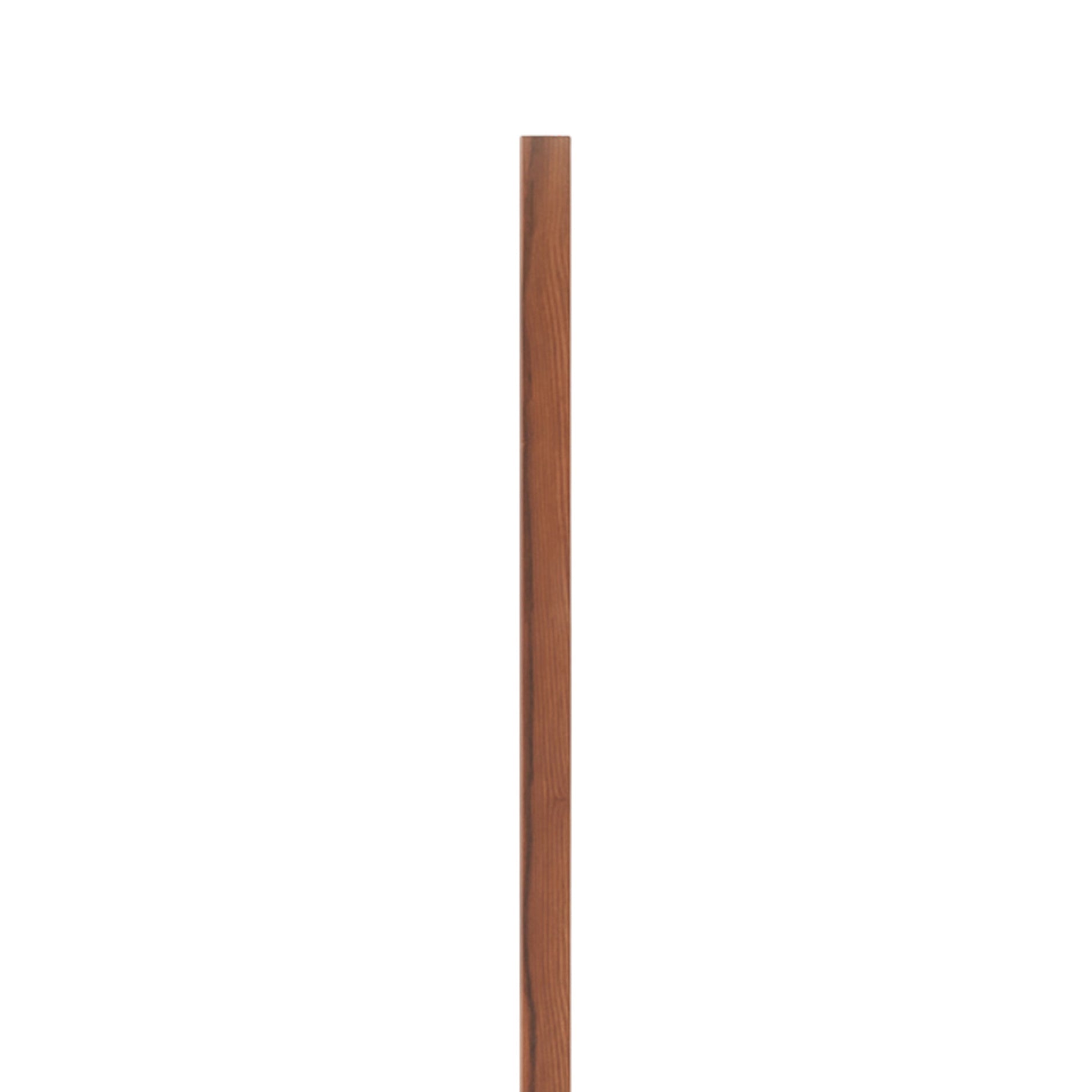 Ray 1.5ft LED Wall Light in Detail.