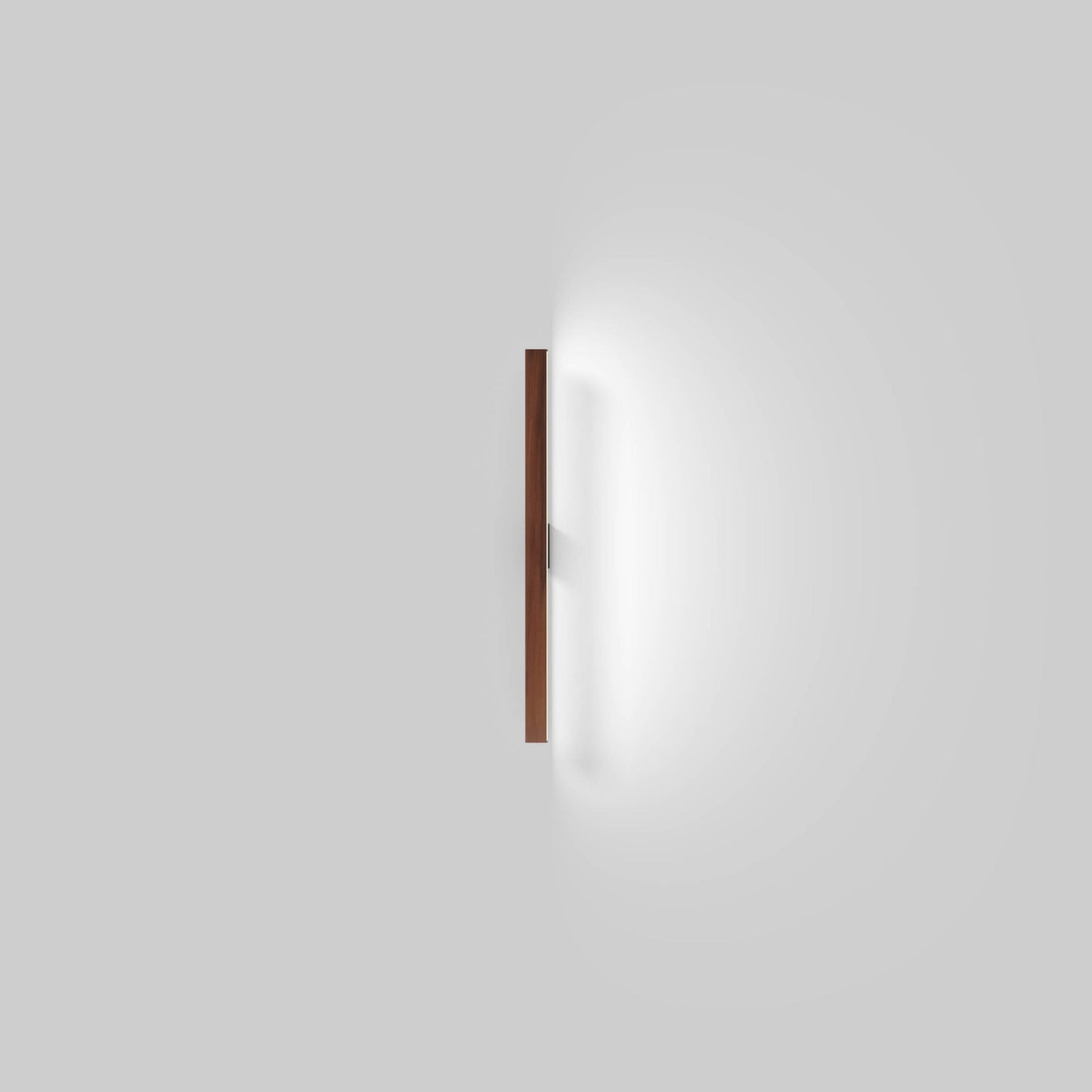Ray 2ft Directional LED Wall Light in Detail.