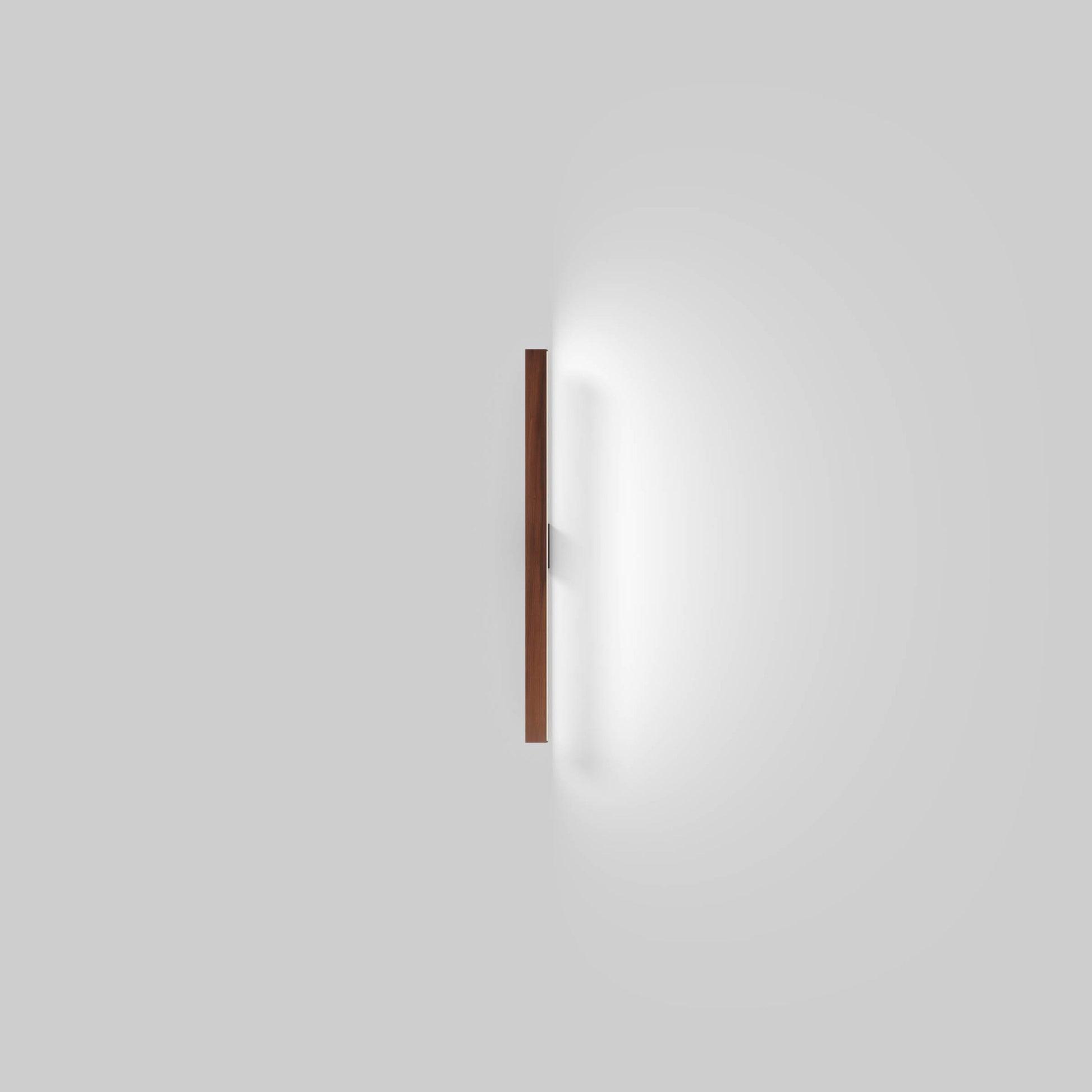 Ray 2ft LED Wall Light in Detail.