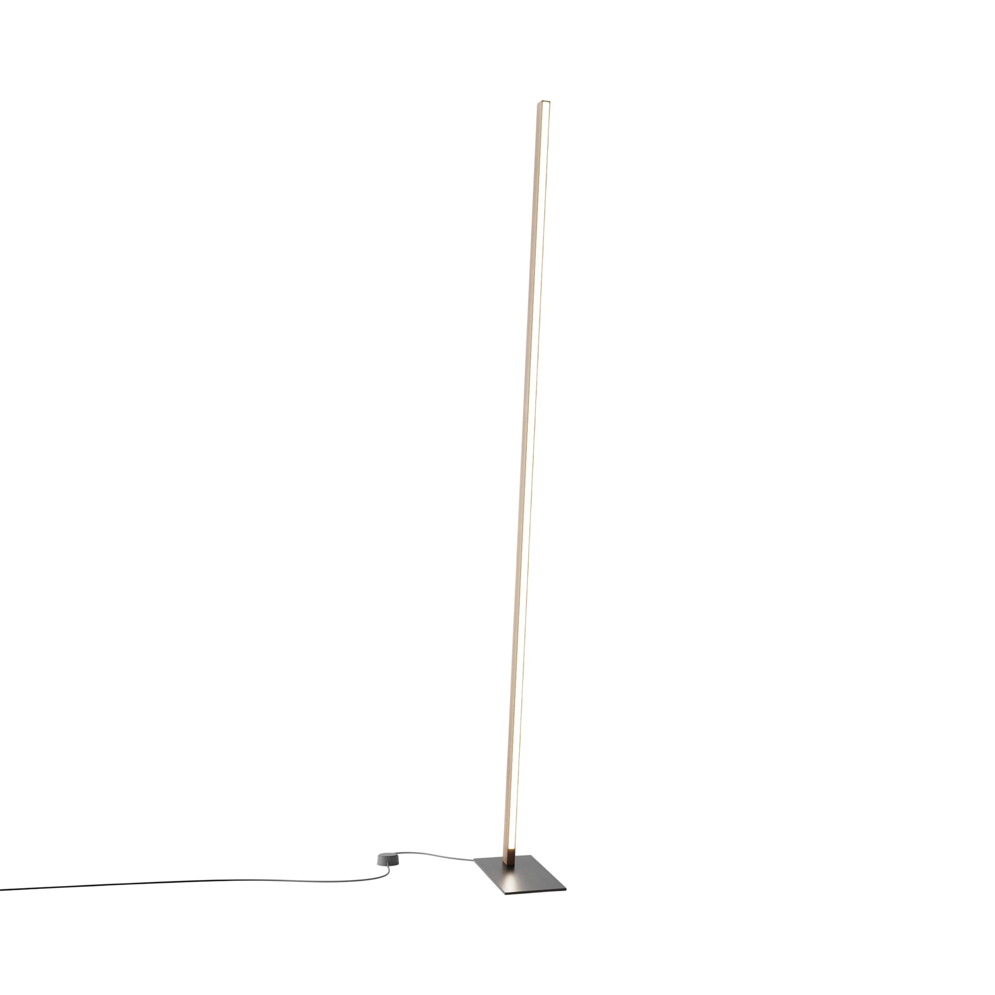 Torch LED Floor Lamp in American Walnut/Blackened.