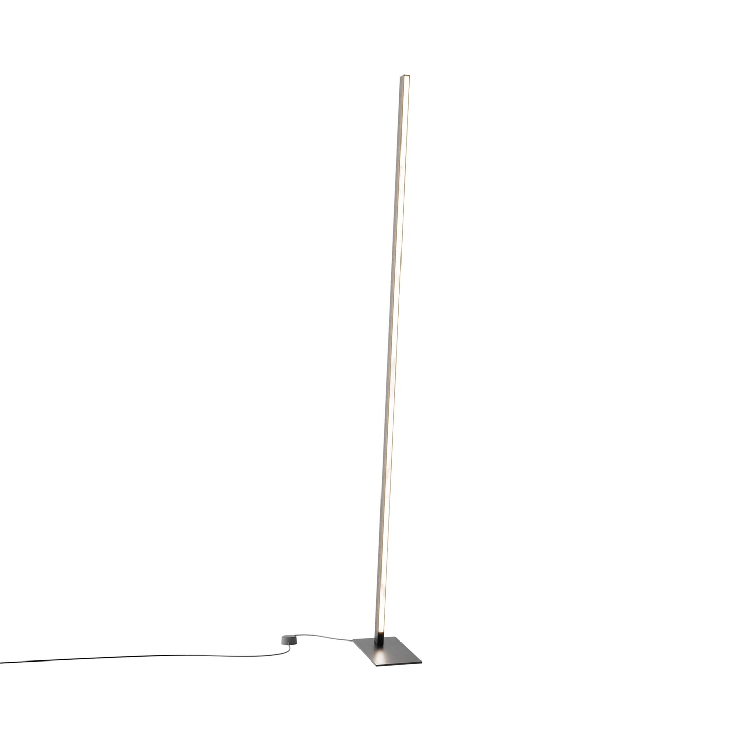 Torch LED Floor Lamp in Ebonized Oak/Blackened.
