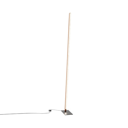 Torch LED Floor Lamp in Water Tower Redwood/Blackened.