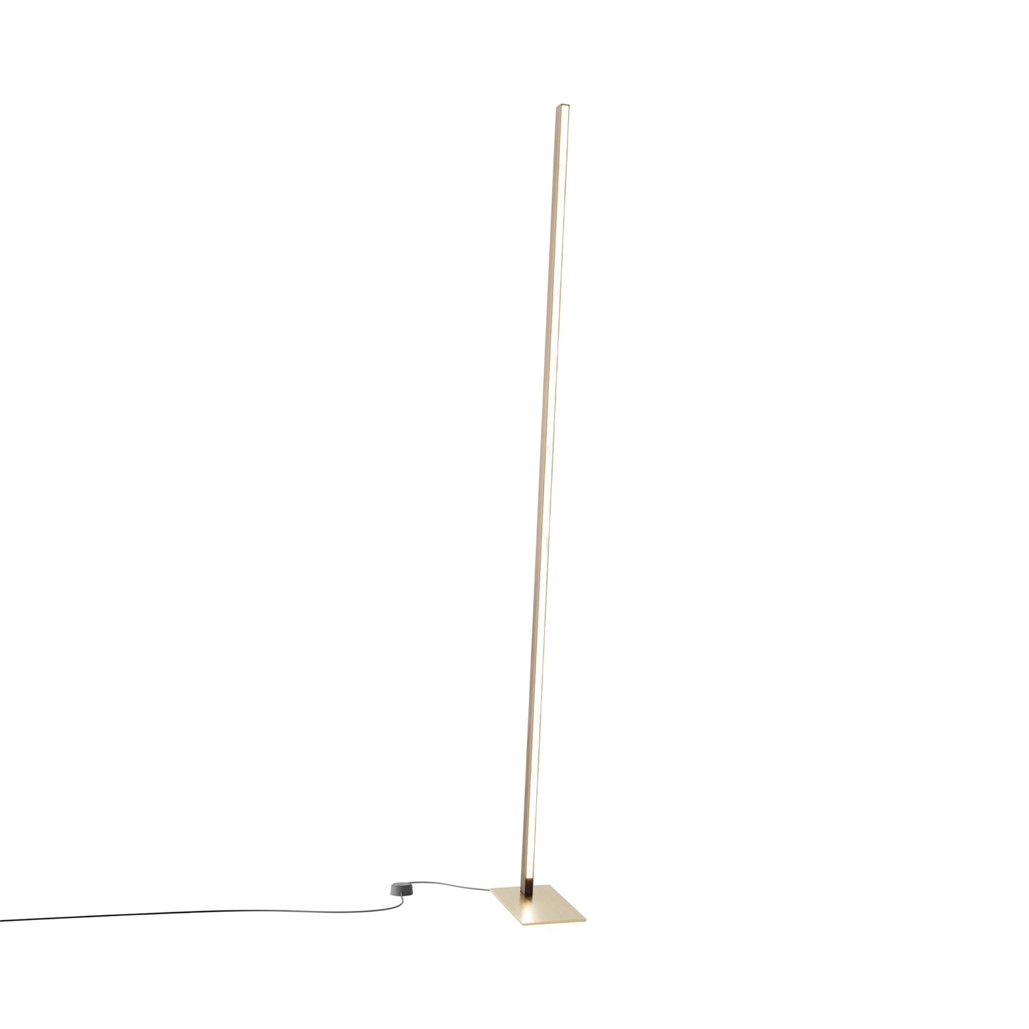 Torch LED Floor Lamp in American Walnut/Brushed Brass.