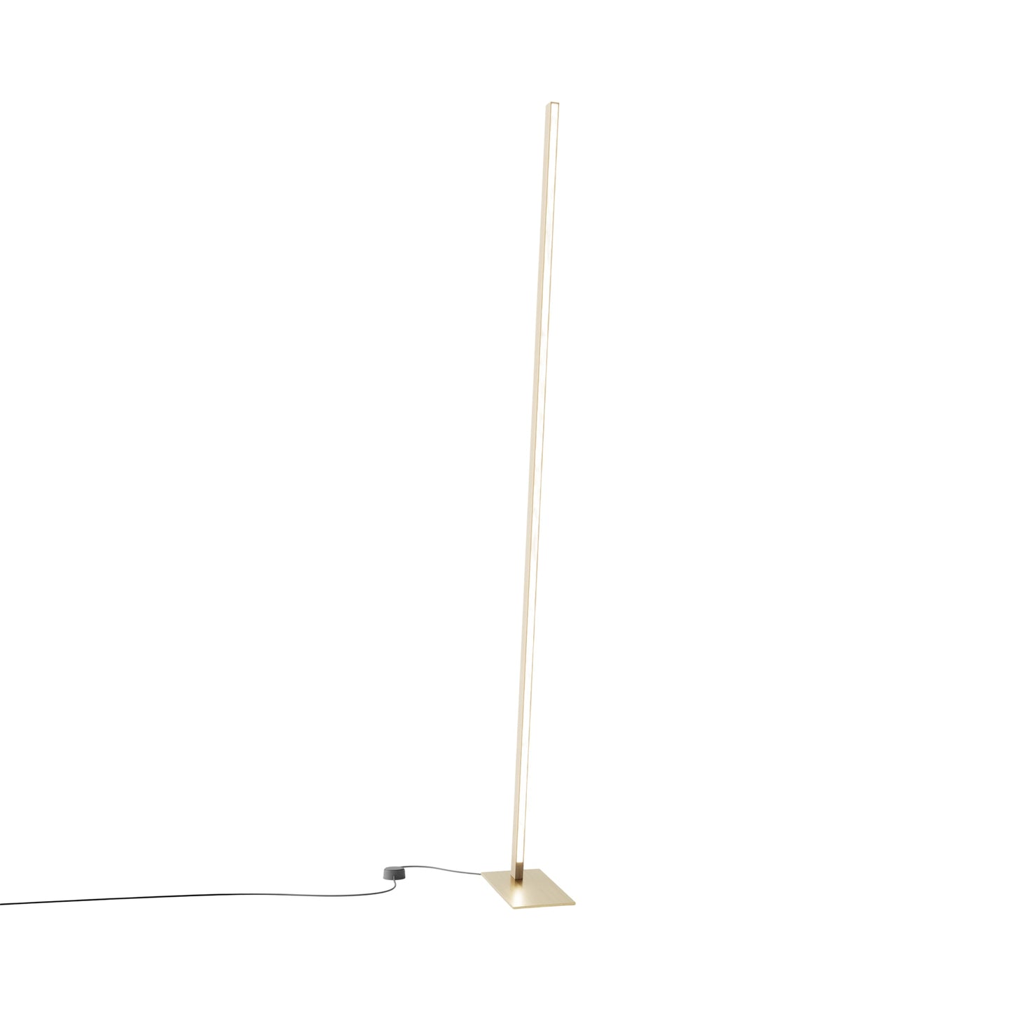 Torch LED Floor Lamp in Maple/Brushed Brass.