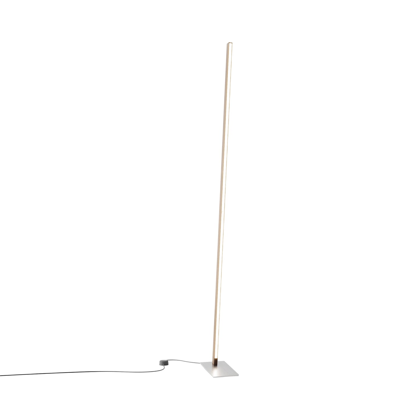 Torch LED Floor Lamp in American Walnut/Brushed Nickel.
