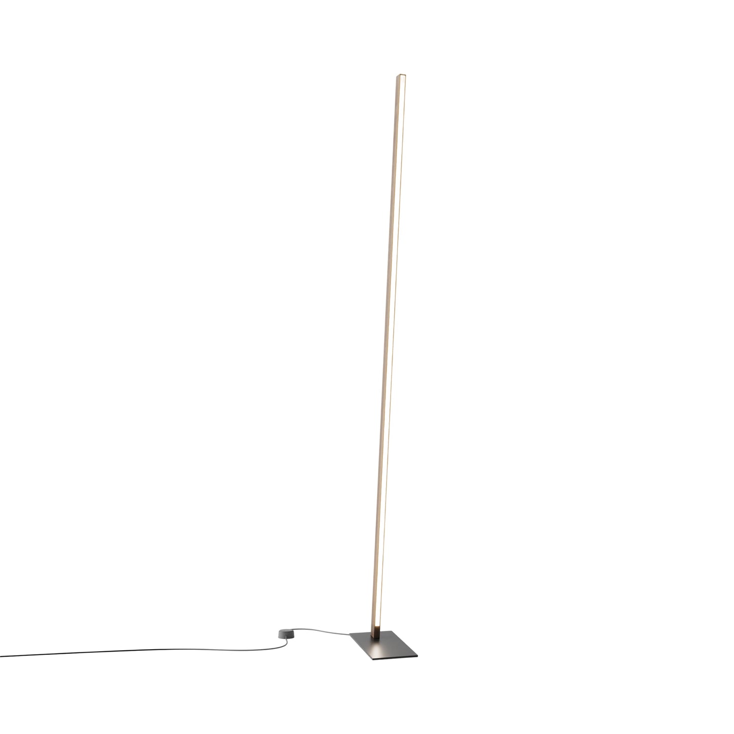 Torch LED Floor Lamp in American Walnut/Matte Black.