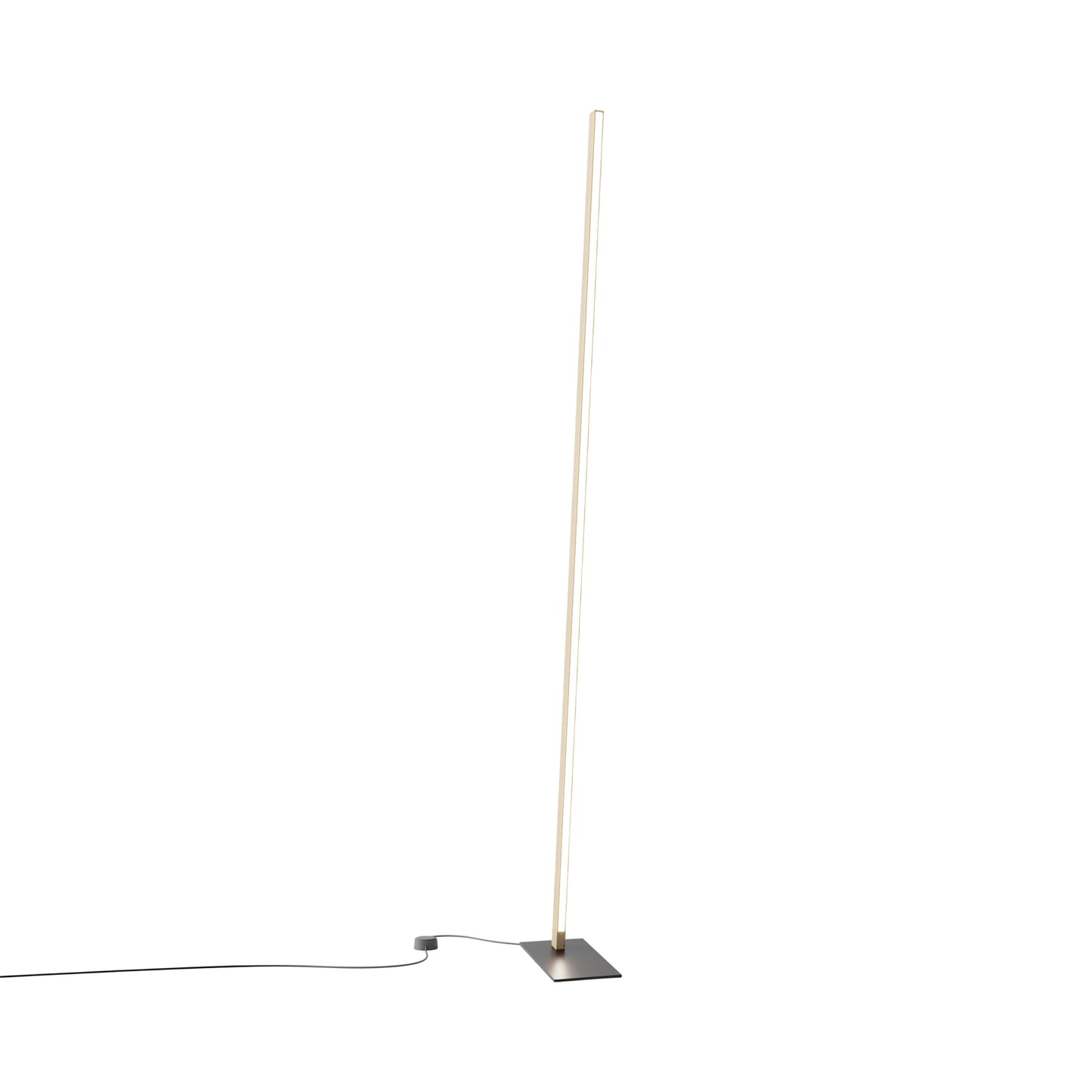 Torch LED Floor Lamp in Maple/Matte Black.