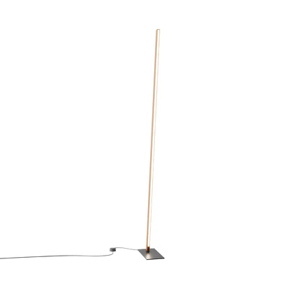Torch LED Floor Lamp in Water Tower Redwood/Matte Black.
