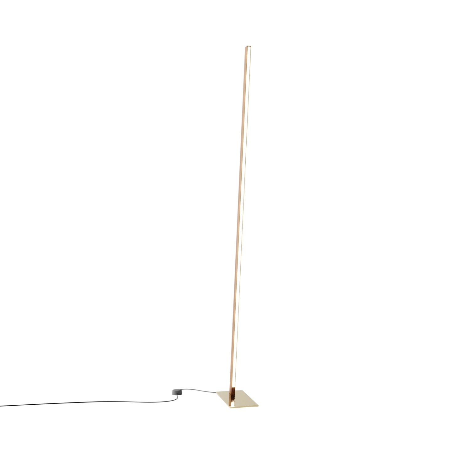 Torch LED Floor Lamp in Maple/Polished Brass.