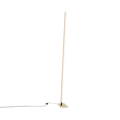 Torch LED Floor Lamp in Maple/Polished Brass.