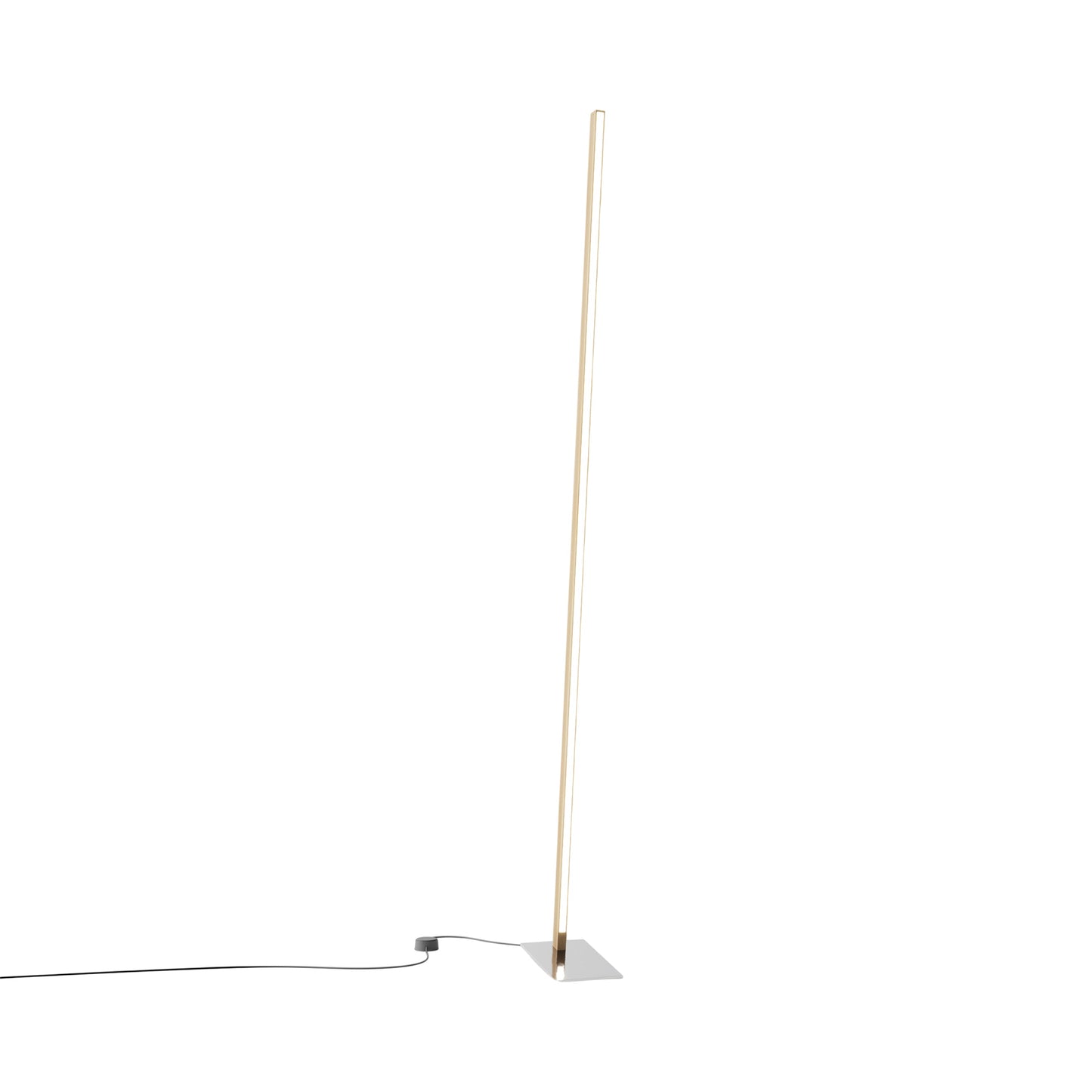 Torch LED Floor Lamp in Maple/Polished Nickel.