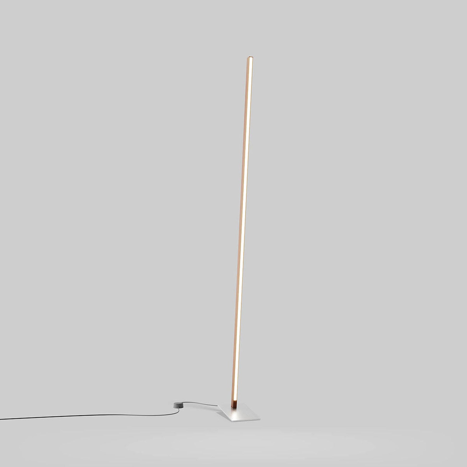 Torch LED Floor Lamp in Detail.