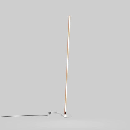 Torch LED Floor Lamp in Detail.