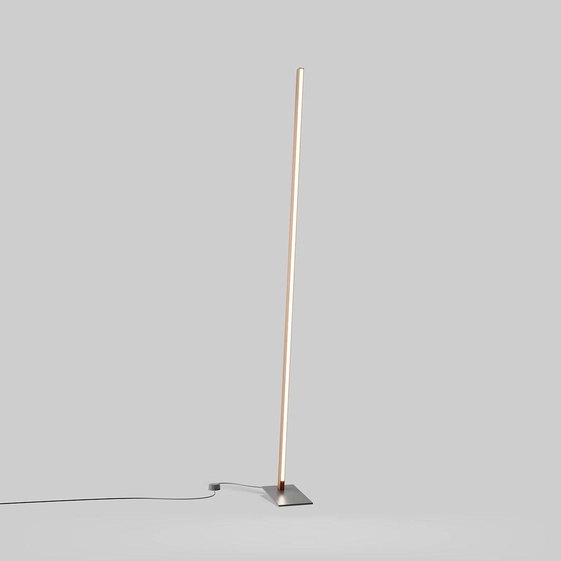 Torch LED Floor Lamp in Detail.
