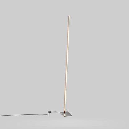 Torch LED Floor Lamp in Detail.