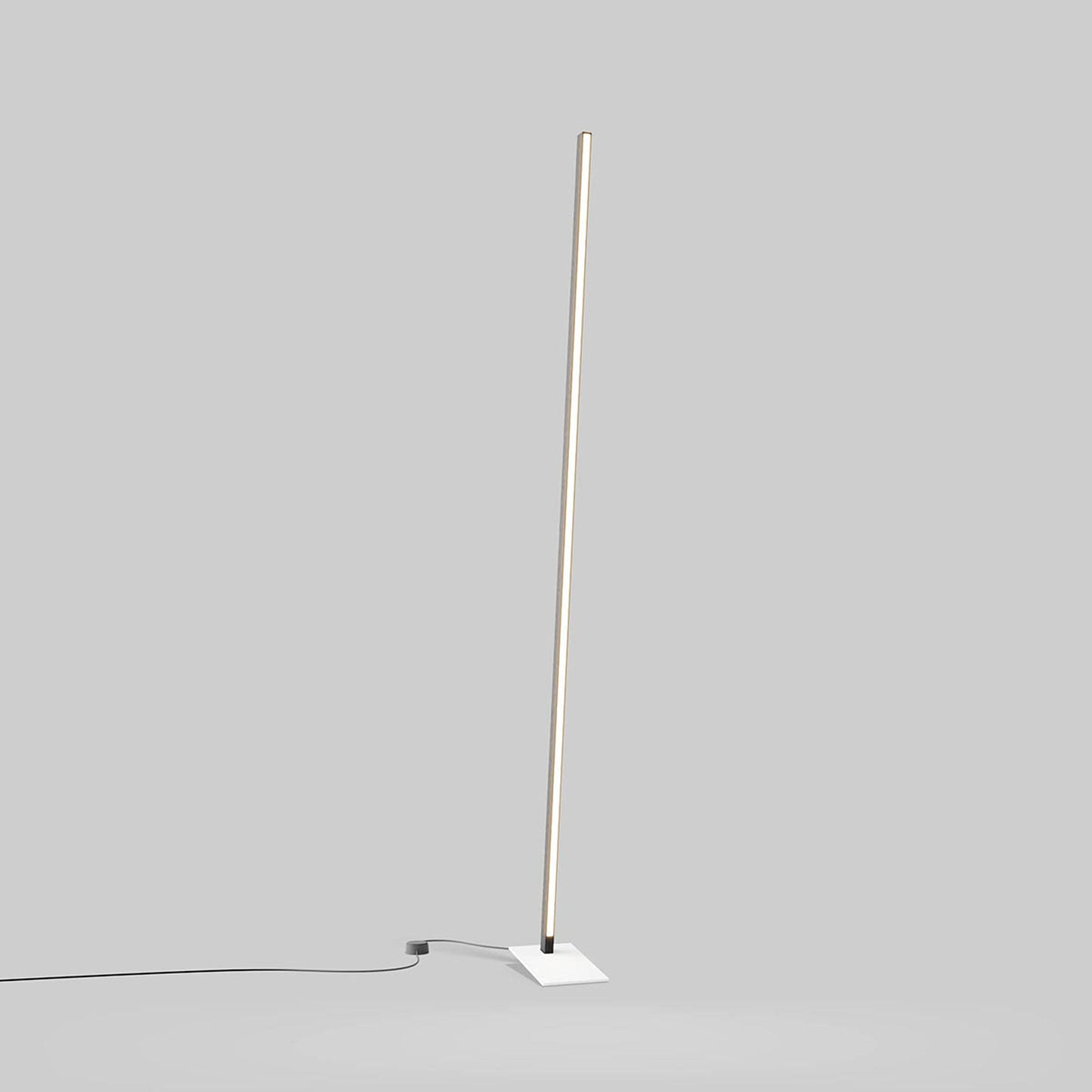 Torch LED Floor Lamp in Detail.