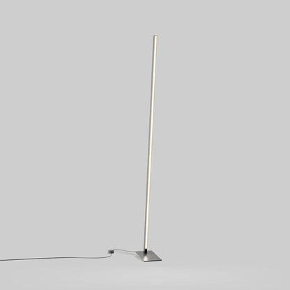 Torch LED Floor Lamp in Detail.